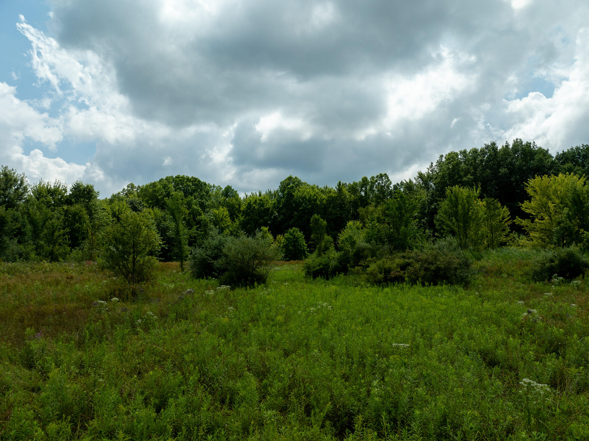 DJI_0830