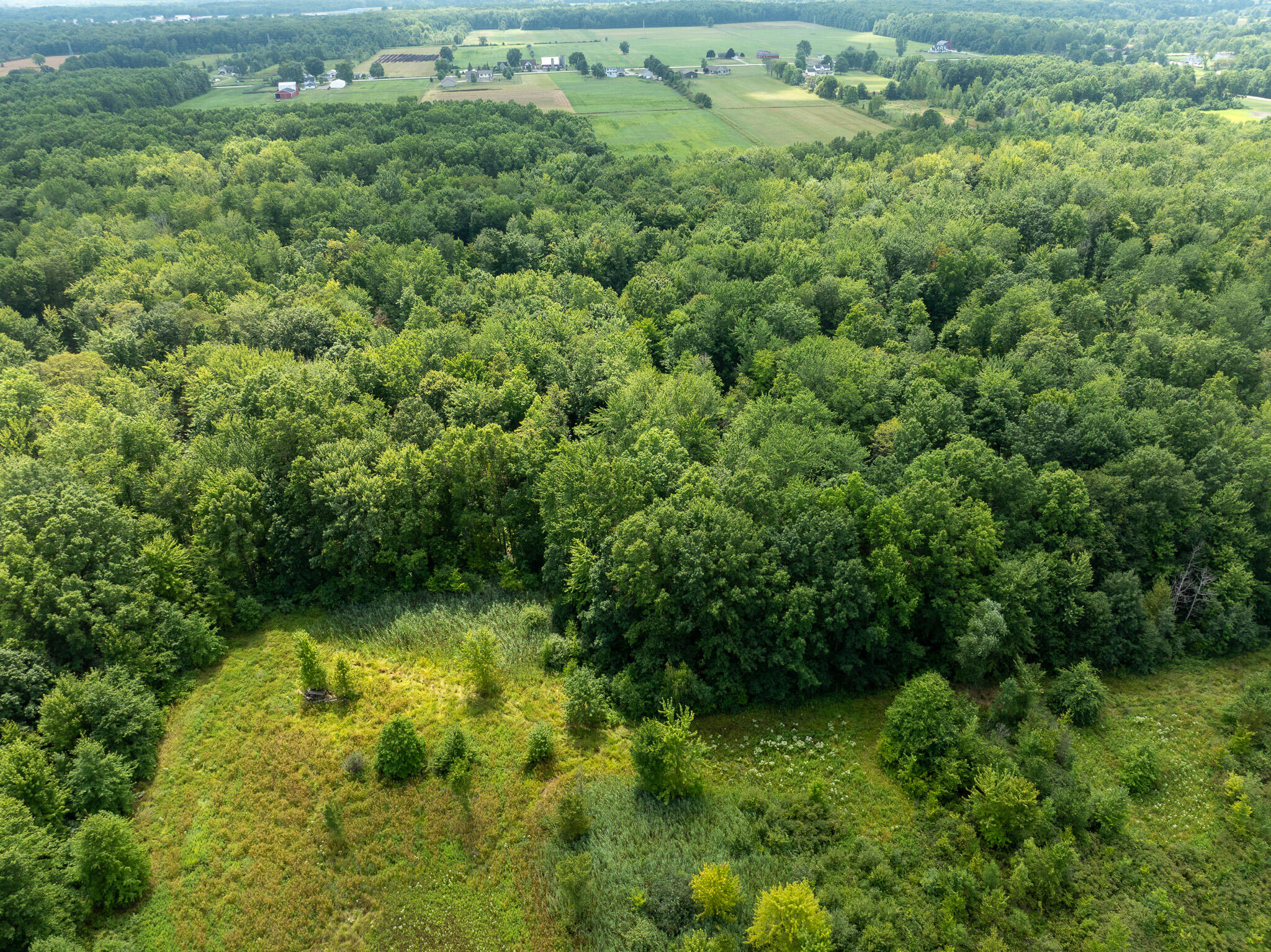 DJI_0832