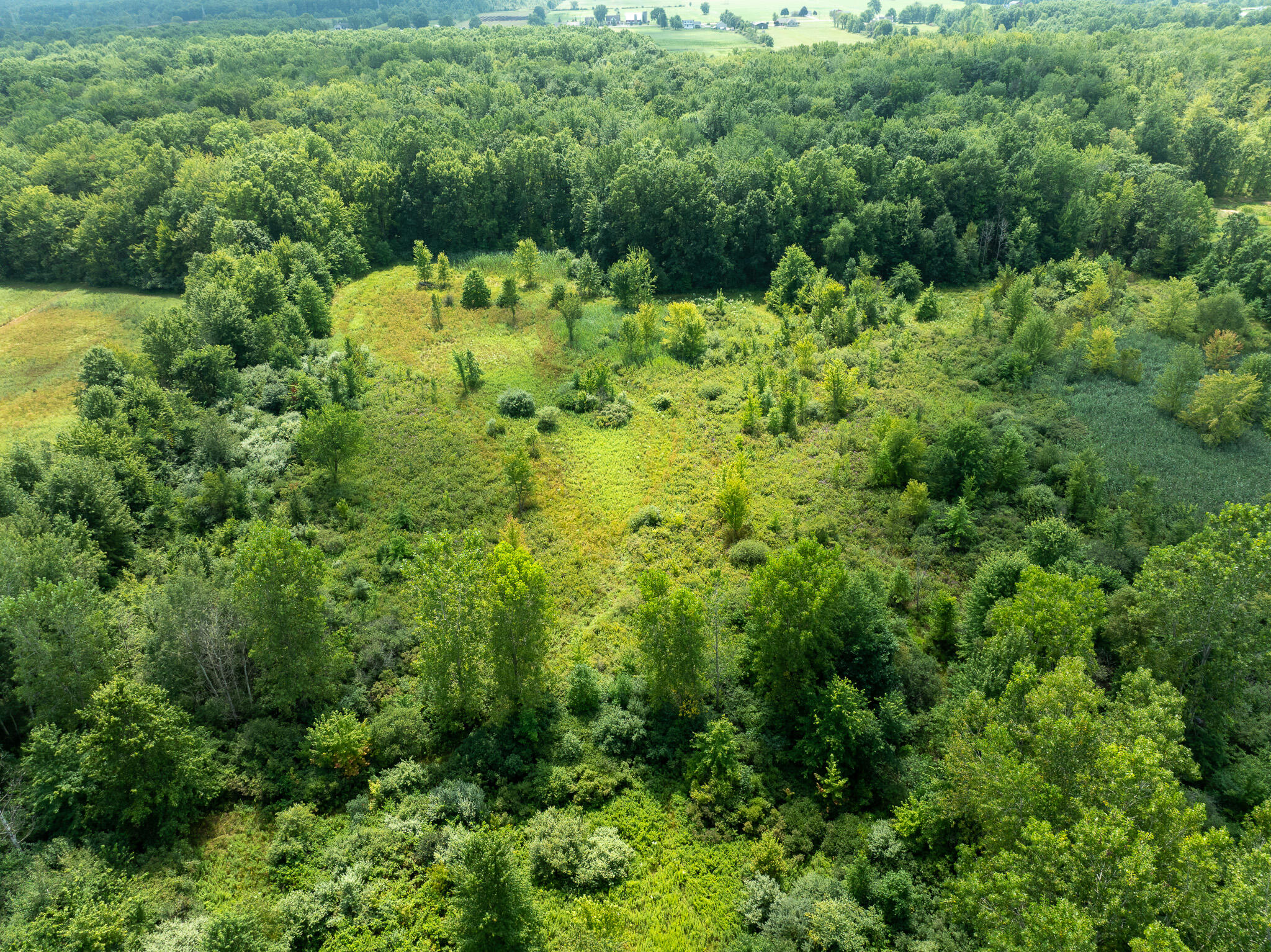 DJI_0840