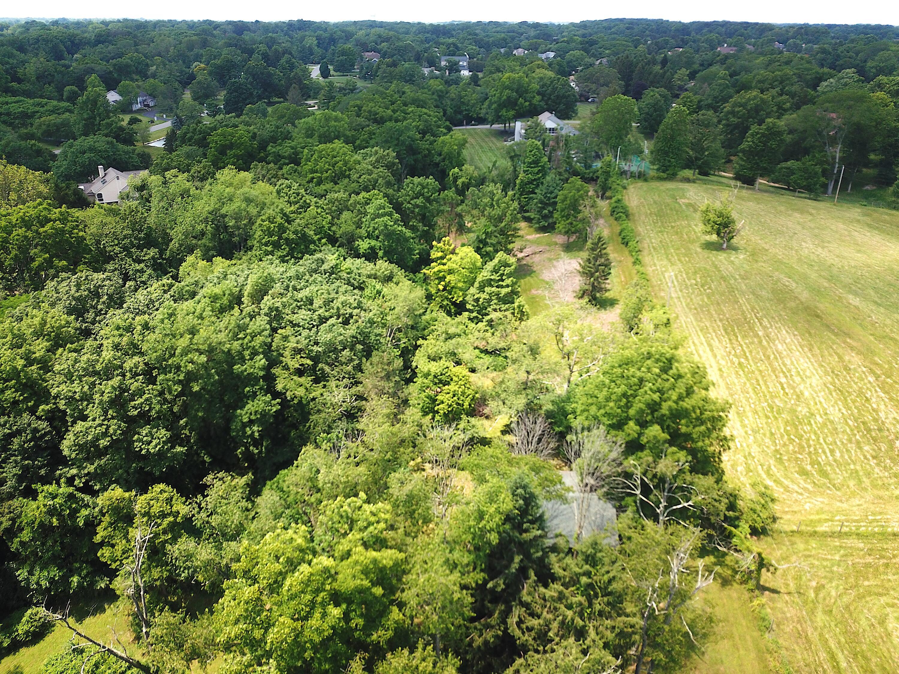 8870 Olentangy River Road Powell, OH 43065 - Photo 12 of 61 DJI_0941