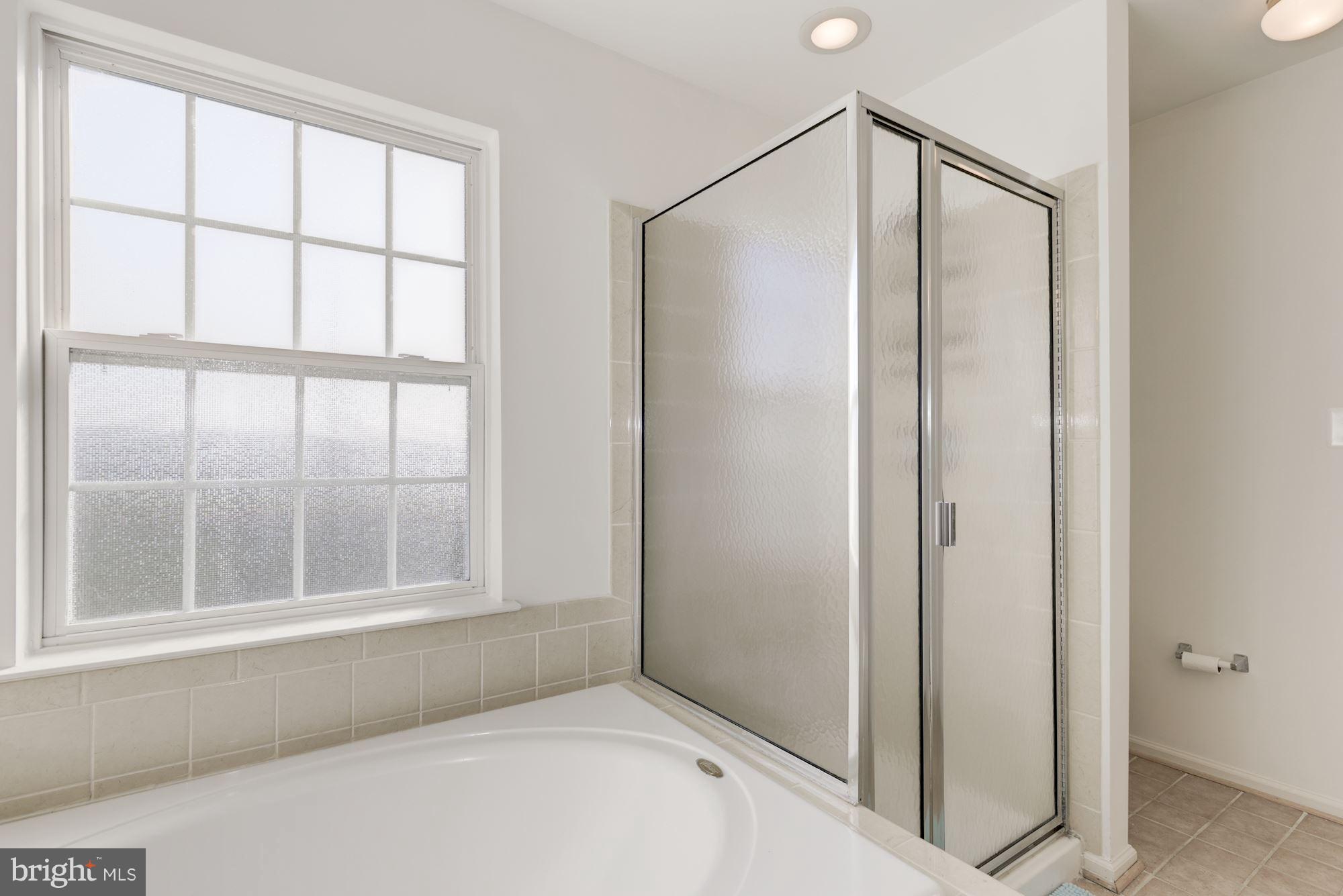 13595 Bathgate Drive Herndon, VA 20171 - Photo 20 of 29 Bath (Master)