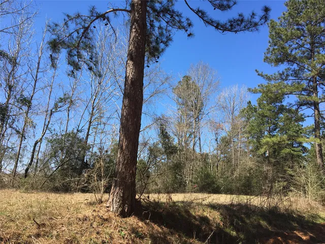 $45,500 | 175 County Road 175, Garrison, TX 75946