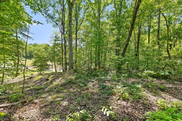 $85,000 | 0 Maple Leaf Trail, Lookout Mountain, GA 30750