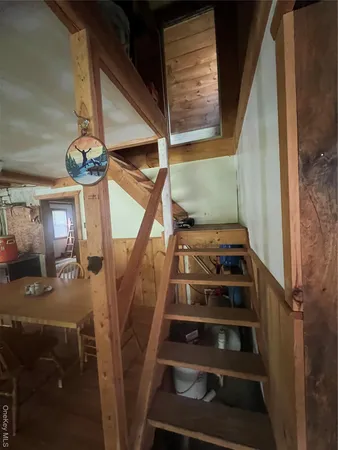 a view of a dry yard with trees