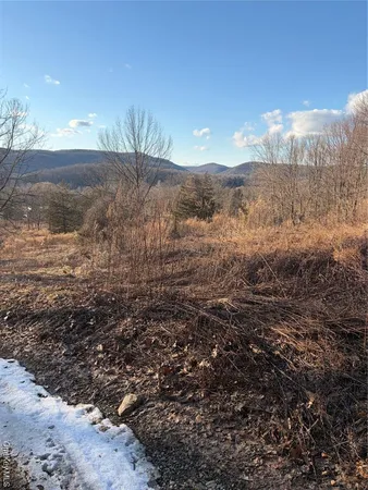 a view of a backyard of a house