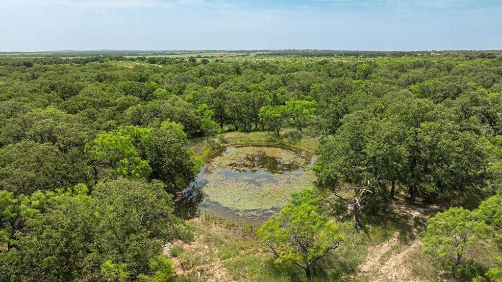 268 County Road 268 Rising Star, TX 76471 - Photo 17 of 21