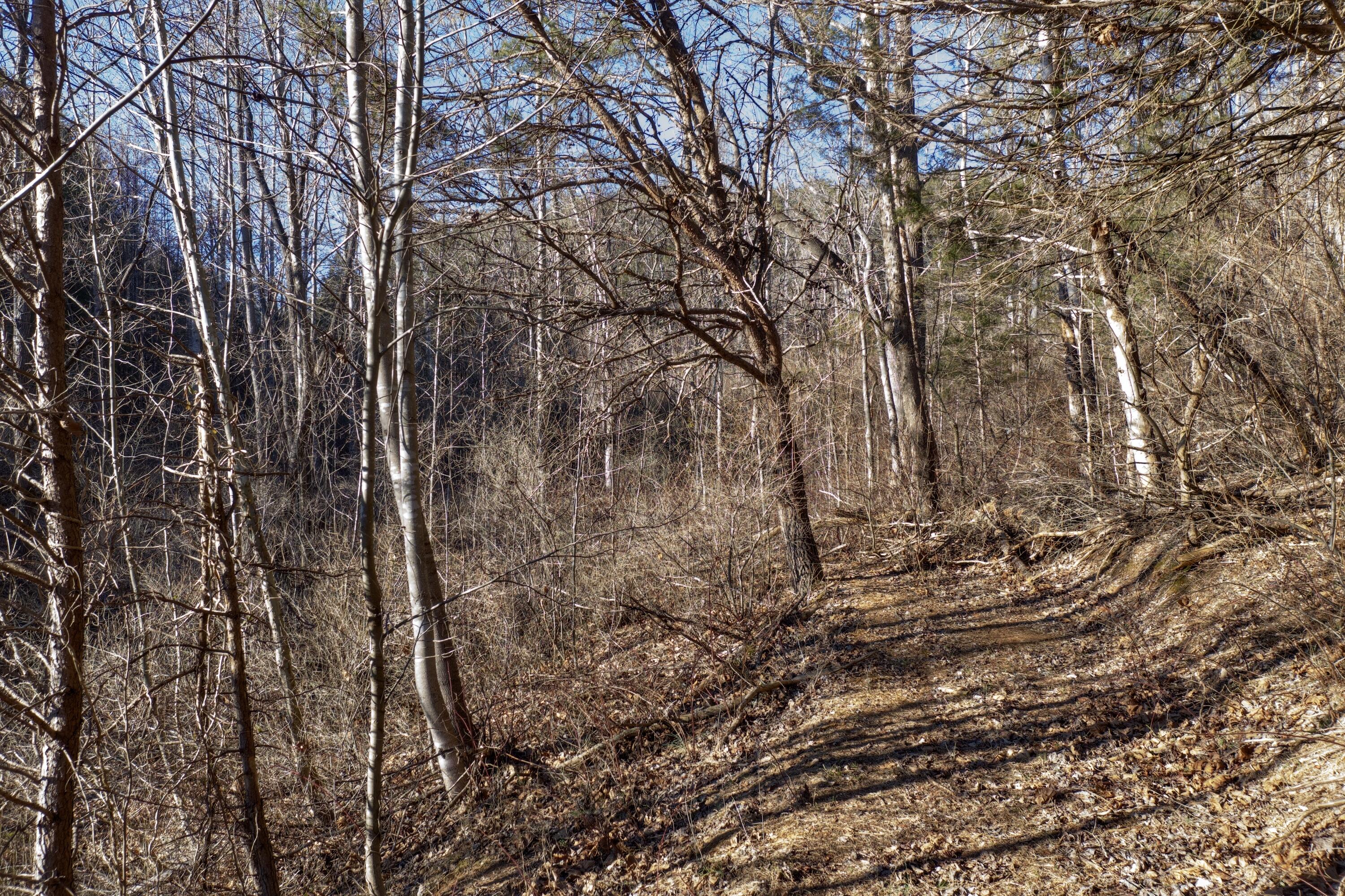 260 Round Hill Road Lexington, VA 24450 - Photo 60 of 71 60