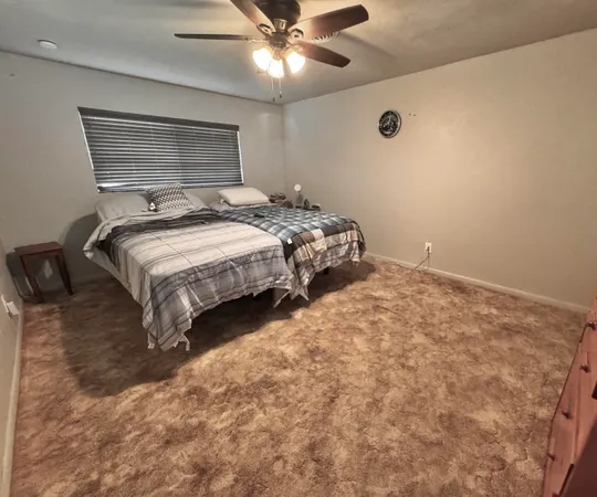 a bedroom with a bed and a ceiling fan