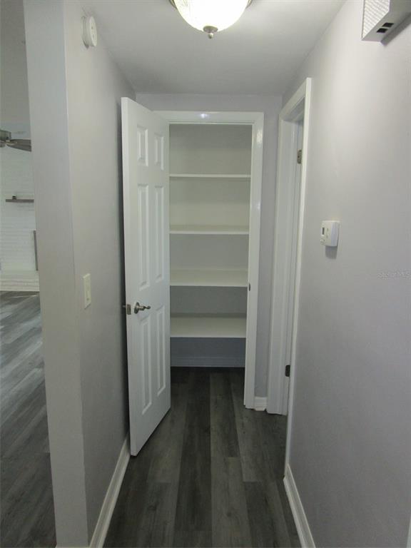 7226 San Moritz Drive Port Richey, FL 34668 - Photo 29 of 38 a view of a walk in closet