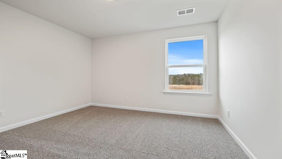 218 Stone Creek Road Clinton, SC 29325 - Photo 18 of 34 Gallery Image 18