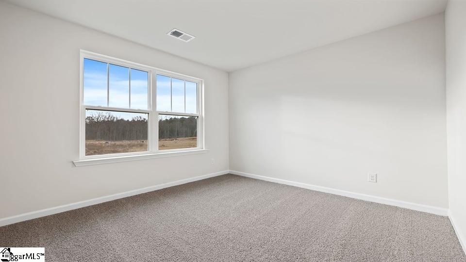 218 Stone Creek Road Clinton, SC 29325 - Photo 20 of 34 Gallery Image 20
