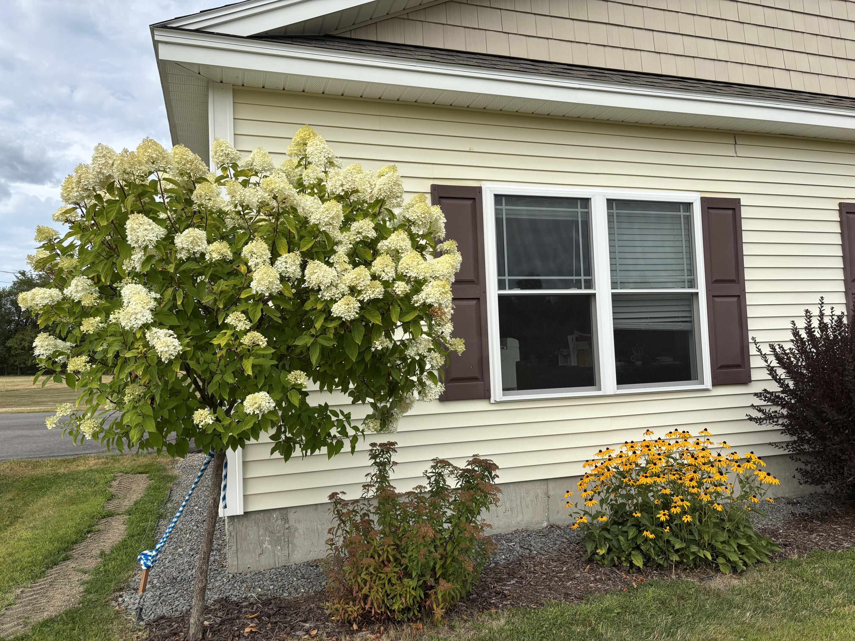 207 Corinth Road Hudson, ME 04449 - Photo 45 of 48 45