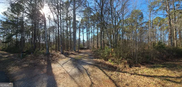 $95,000 | 1810 Sandy Flat Road, Bowdon, GA 30108