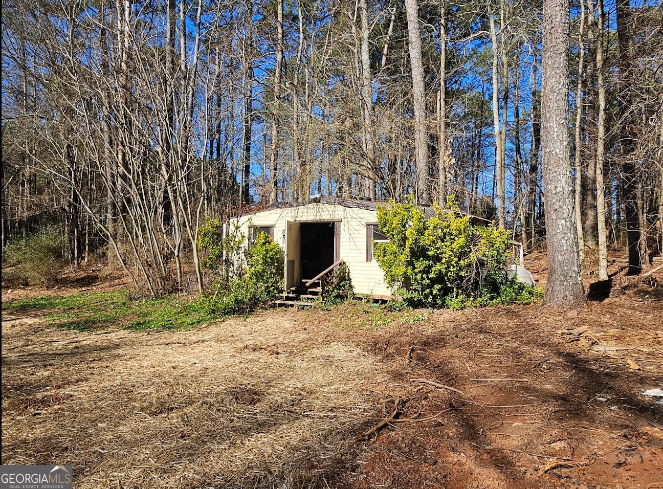 1810 Sandy Flat Road Bowdon, GA 30108 - Photo 10 of 30 a view of a house with a tree and plants