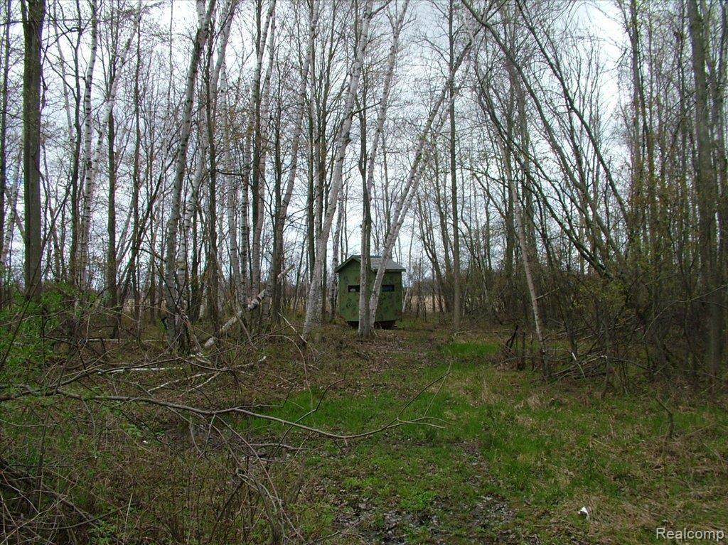 3759 West Harrington Road Croswell, MI 48422 - Photo 8 of 12 DSCF4391
