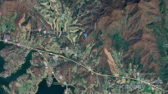 a view of a forest from a balcony