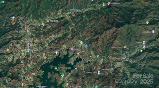 a view of a flower in a garden