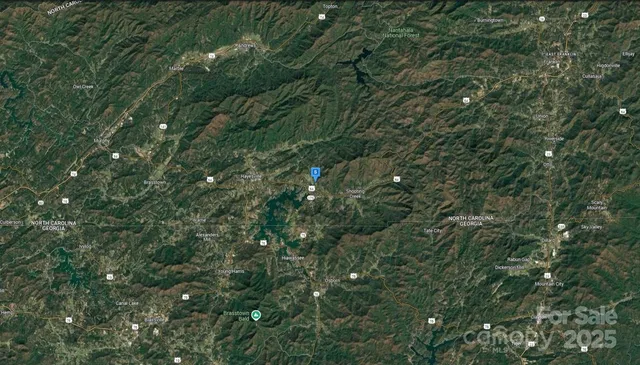 a view of a lush green forest