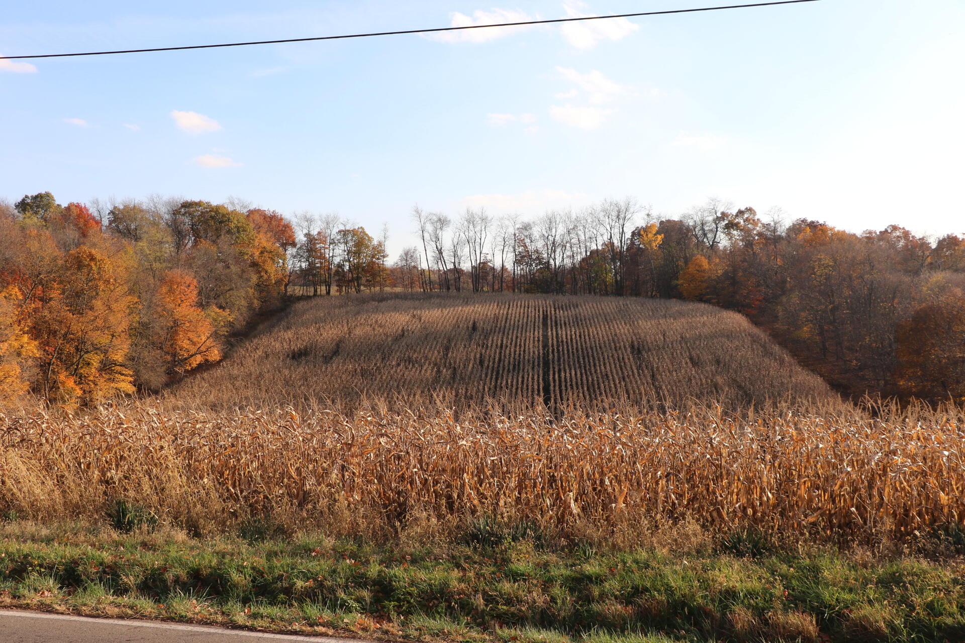 0 Northeast Blacksnake Road Utica, OH 43080 - Photo 3 of 5 Blacksnake 2