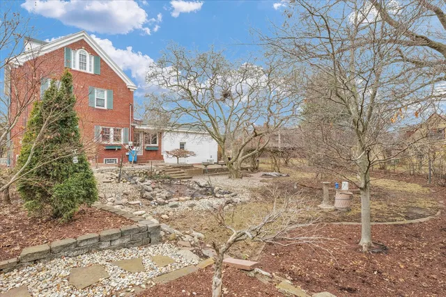 a view of a yard with plants