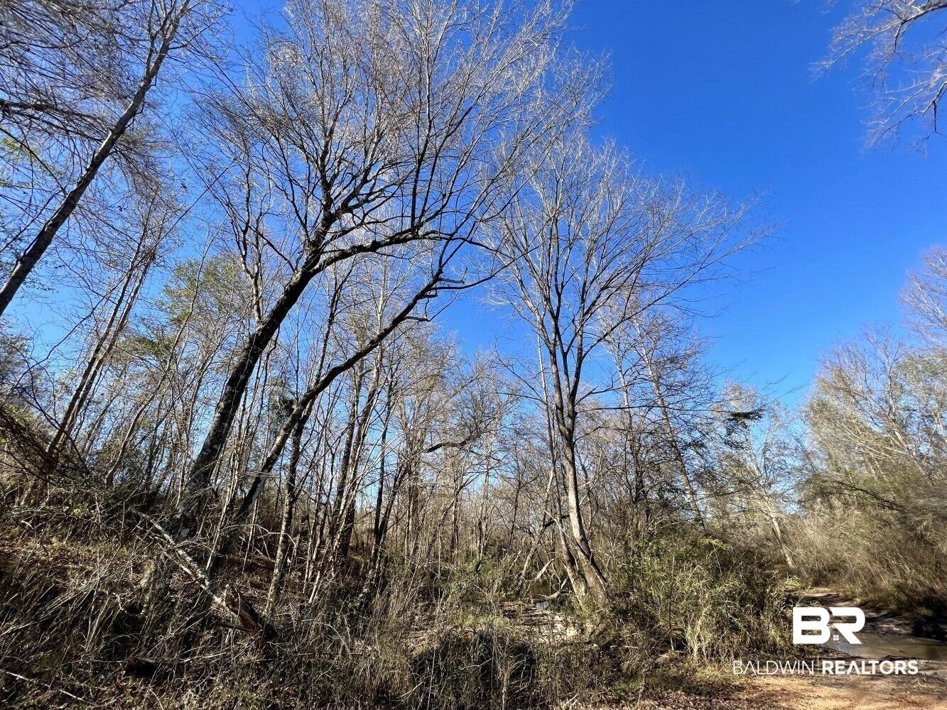 0 Highway 84 Evergreen, AL 36401 - Photo 21 of 50