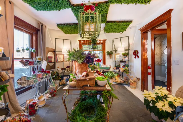 a living room filled with furniture and a potted plant