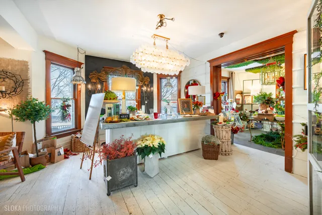 a living room filled with furniture and a potted plant
