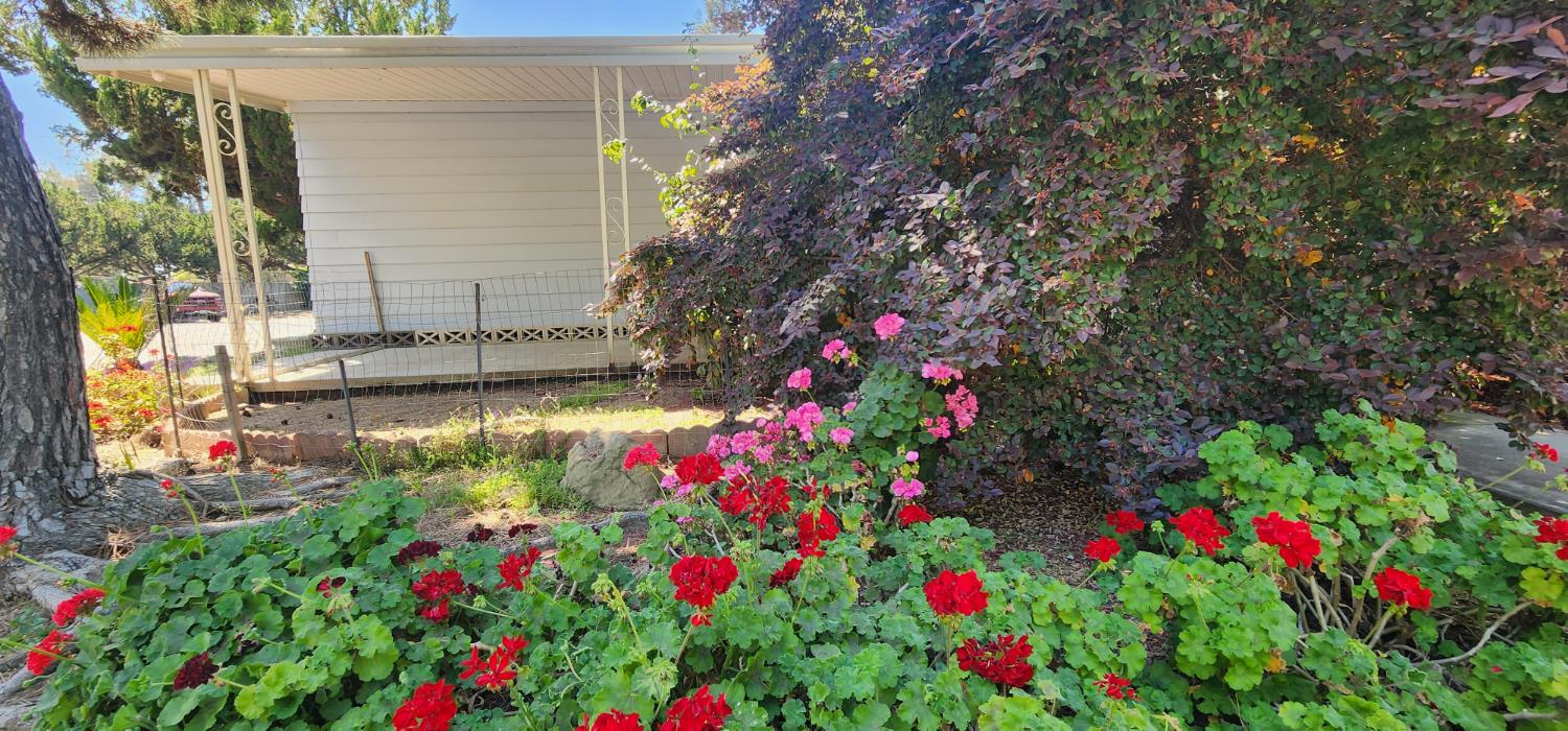 1300 West Olson Avenue Reedley, CA 93654 - Photo 4 of 44