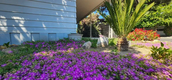 $85,000 | 1300 West Olson Avenue, Reedley, CA 93654