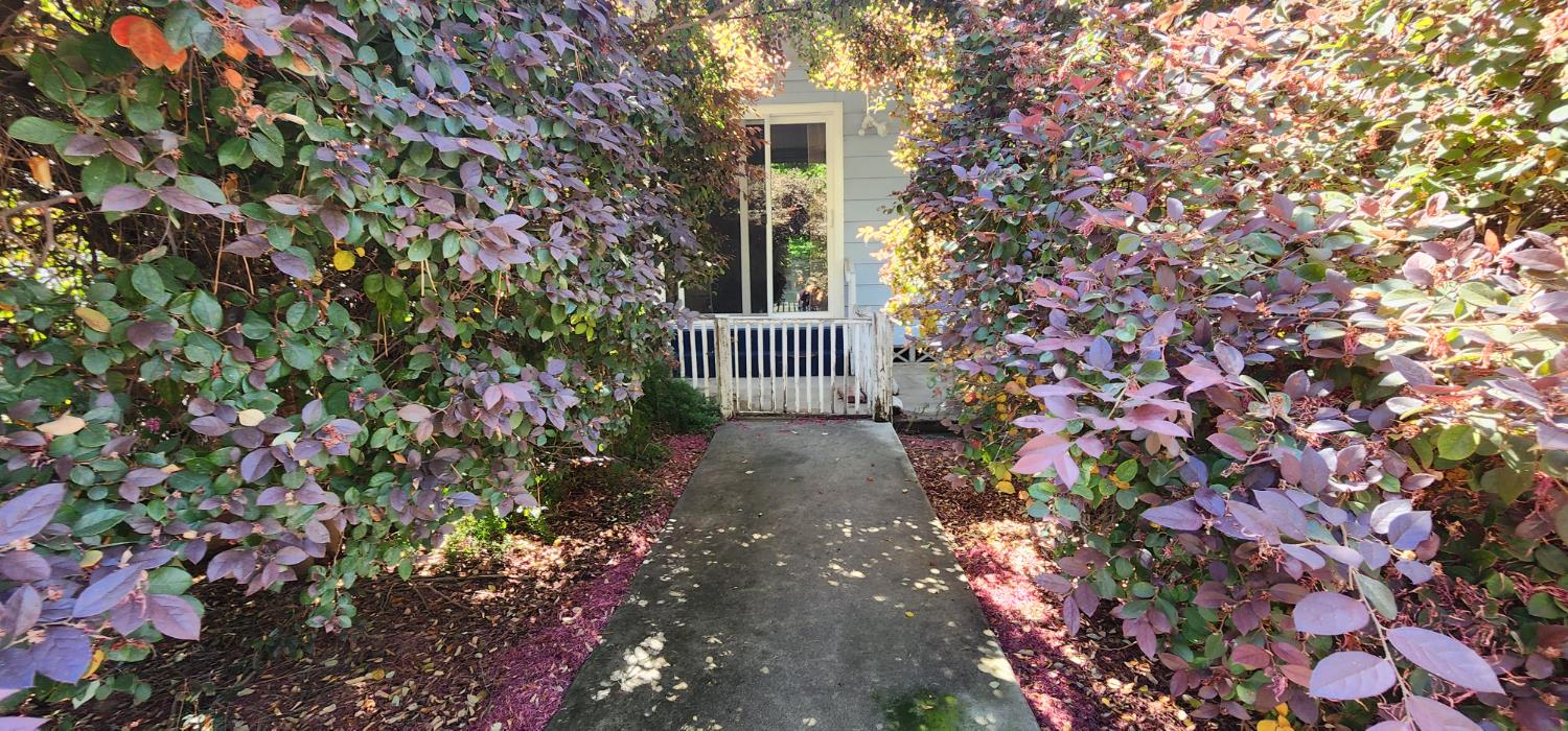 1300 West Olson Avenue Reedley, CA 93654 - Photo 10 of 44