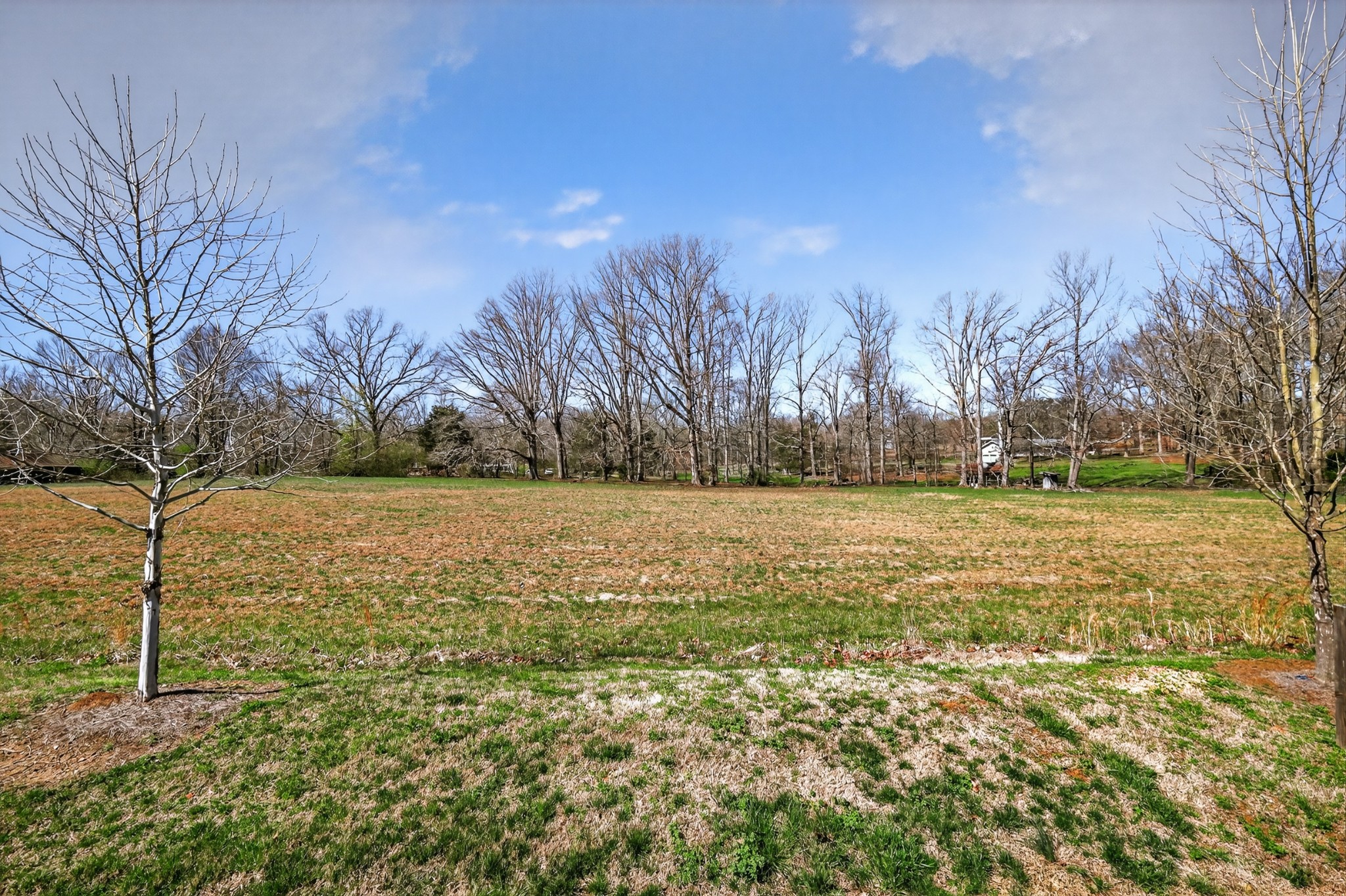 7121 Ivory Way Fairview, TN 37062 - Photo 64 of 72