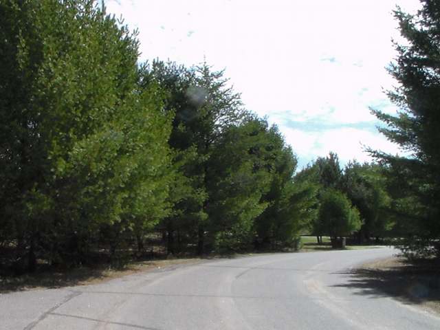 Lot 306 Deerwood Road Minocqua, WI 54548 - Photo 5 of 16 Gallery Image 5