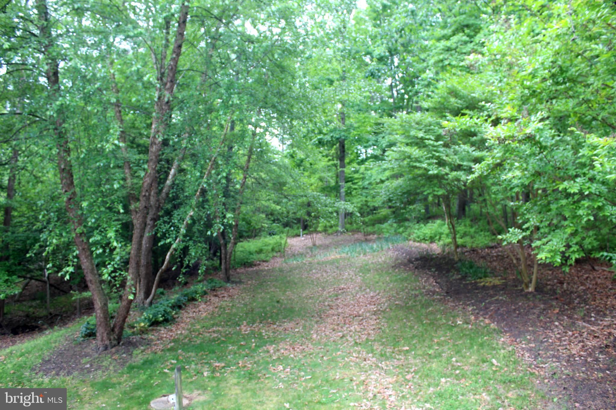 184 Hickory Point Road Pasadena, MD 21122 - Photo 11 of 15