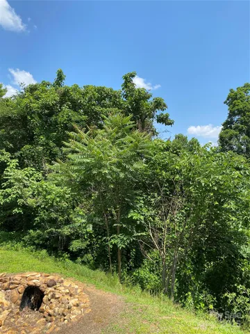 a view of a swimming pool with a lounge chair