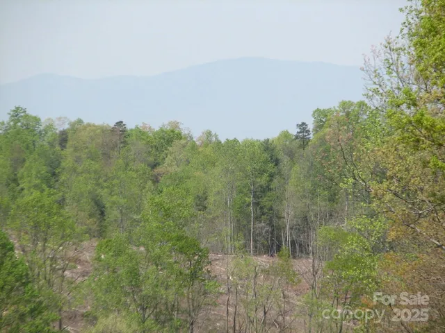 a view of a street with lots of trees