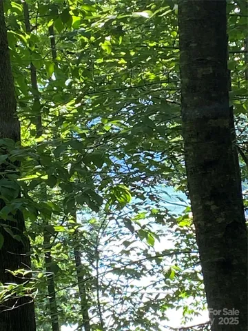 $39,000 | 0 Double Eagle Drive, Unit 25, Nebo, NC 28761