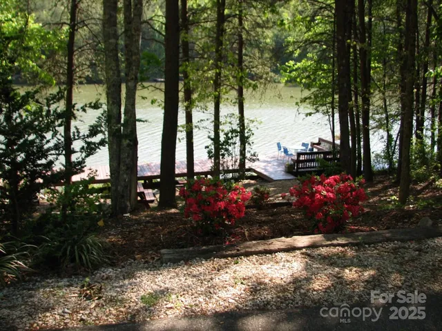 a view of a flowers in a yard