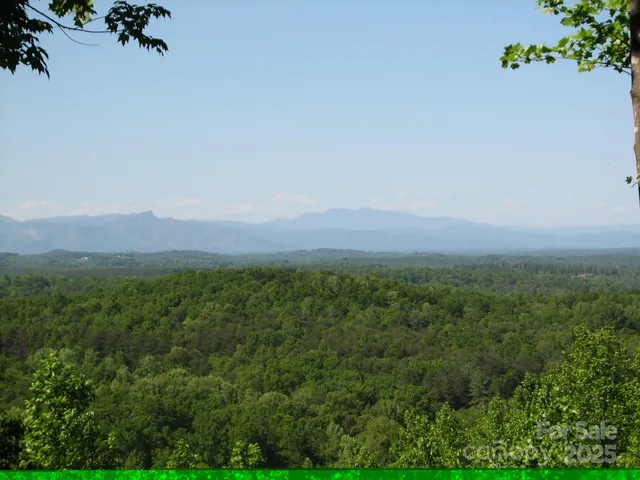 an aerial view of residential house with green space