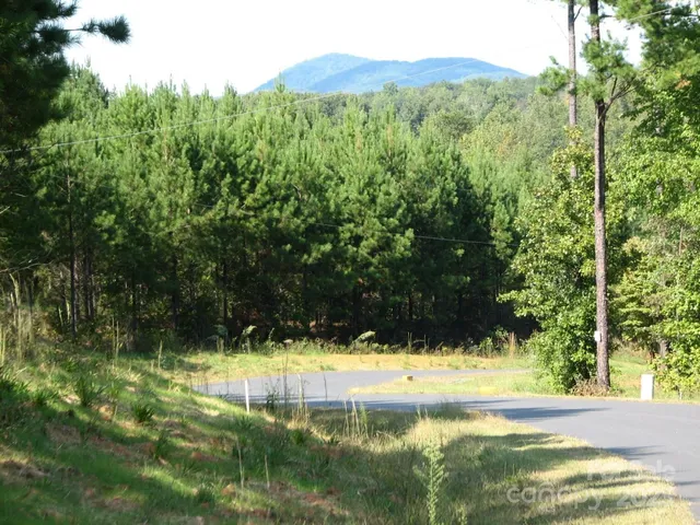 a view of a garden with a house