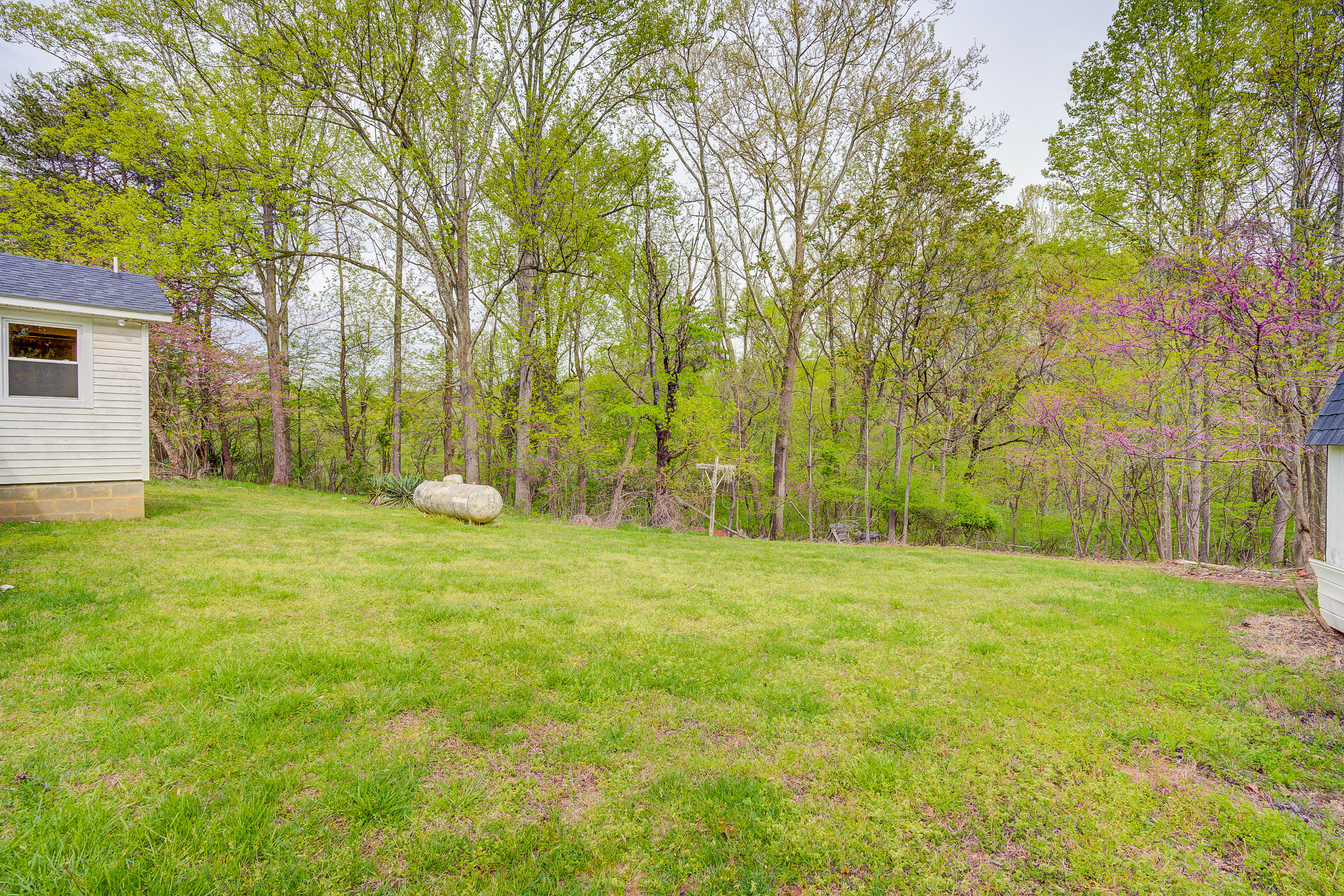 3110 Thomasson Mill Road Goodview, VA 24095 - Photo 34 of 35 a view of a field with trees in front of it