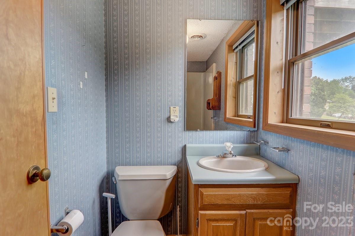 110 Oak Hill Road Candler, NC 28715 - Photo 33 of 37 a bathroom with a sink a toilet and a mirror