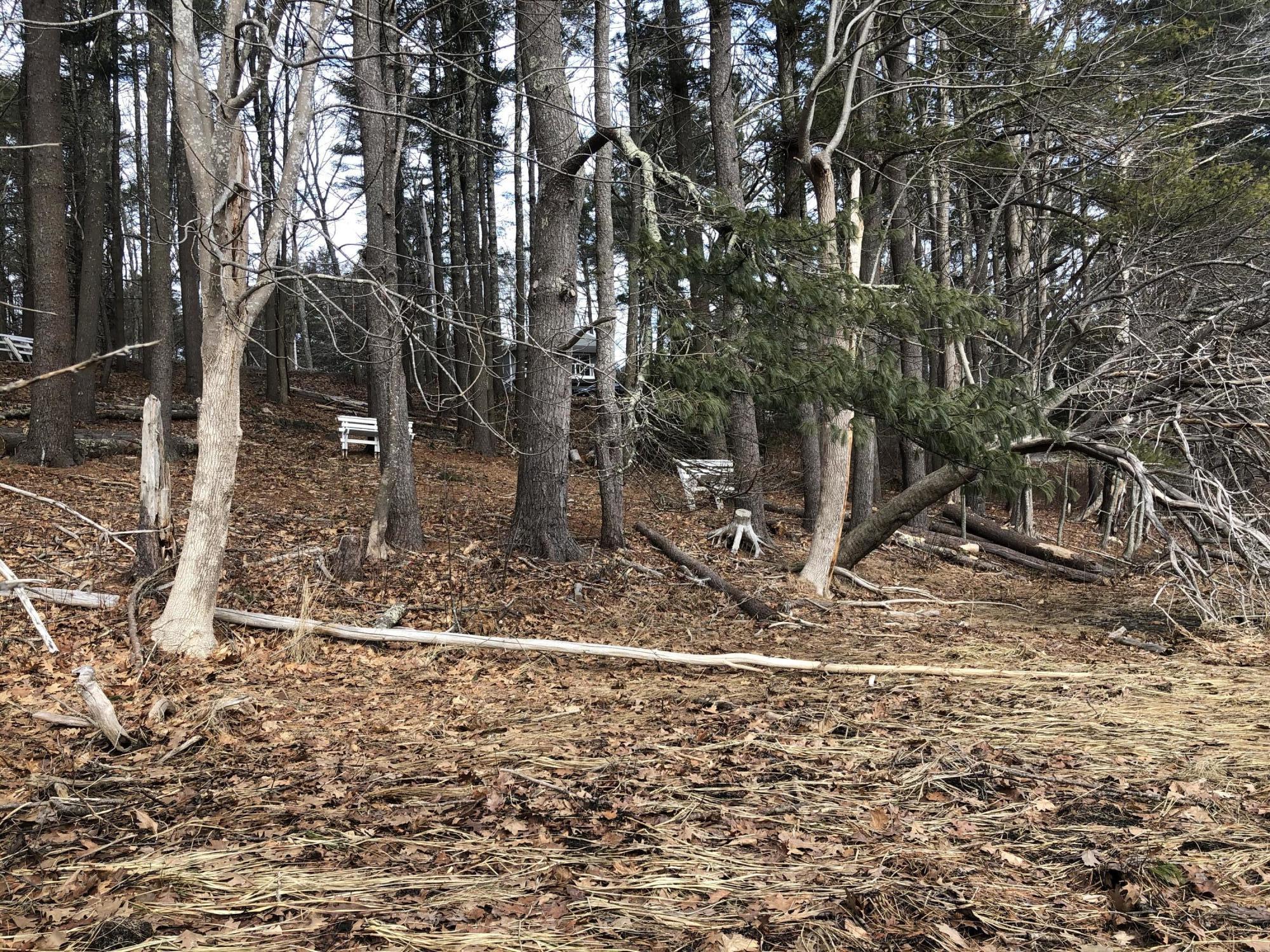 39 Bull Rock Road Brunswick, ME 04011 - Photo 45 of 52 Waterfront