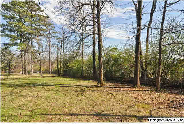 5725 Belle Ridge Trail Birmingham, AL 35210 - Photo 29 of 29