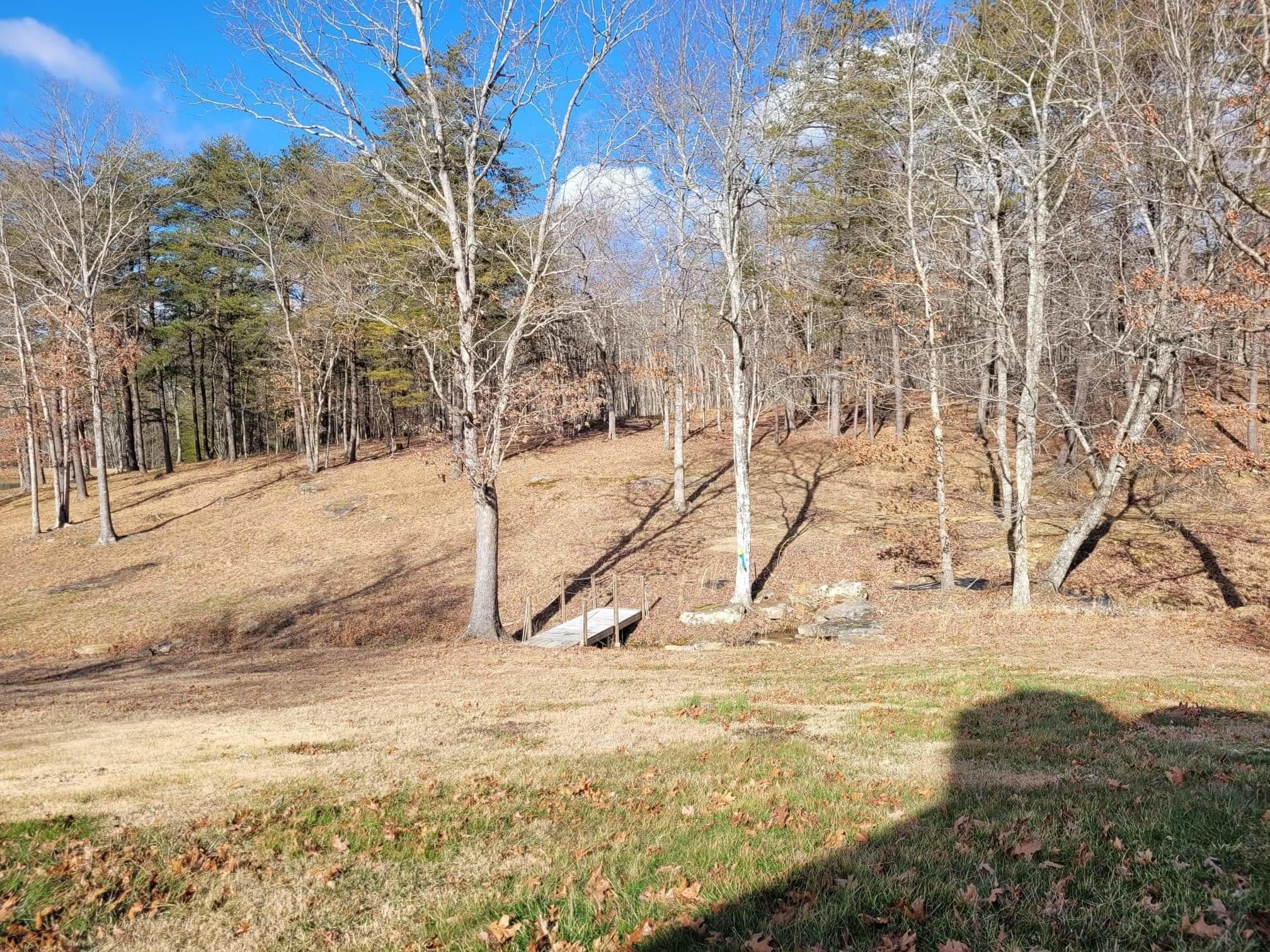 218 Bennie Camp Road Dunlap, TN 37327 - Photo 5 of 46 B 1