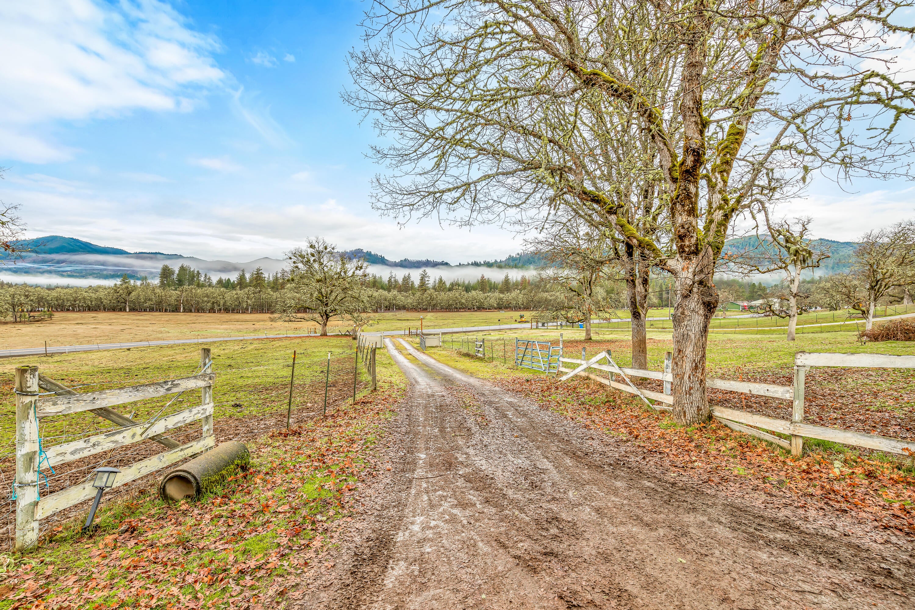 20960 Antioch Road White City, OR 97503 - Photo 2 of 28 Driveway facing away from home