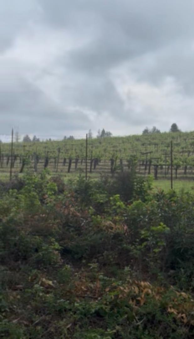 11930 Graton Road Sebastopol, CA 95472 - Photo 14 of 16 a view of a lake with mountains in the background