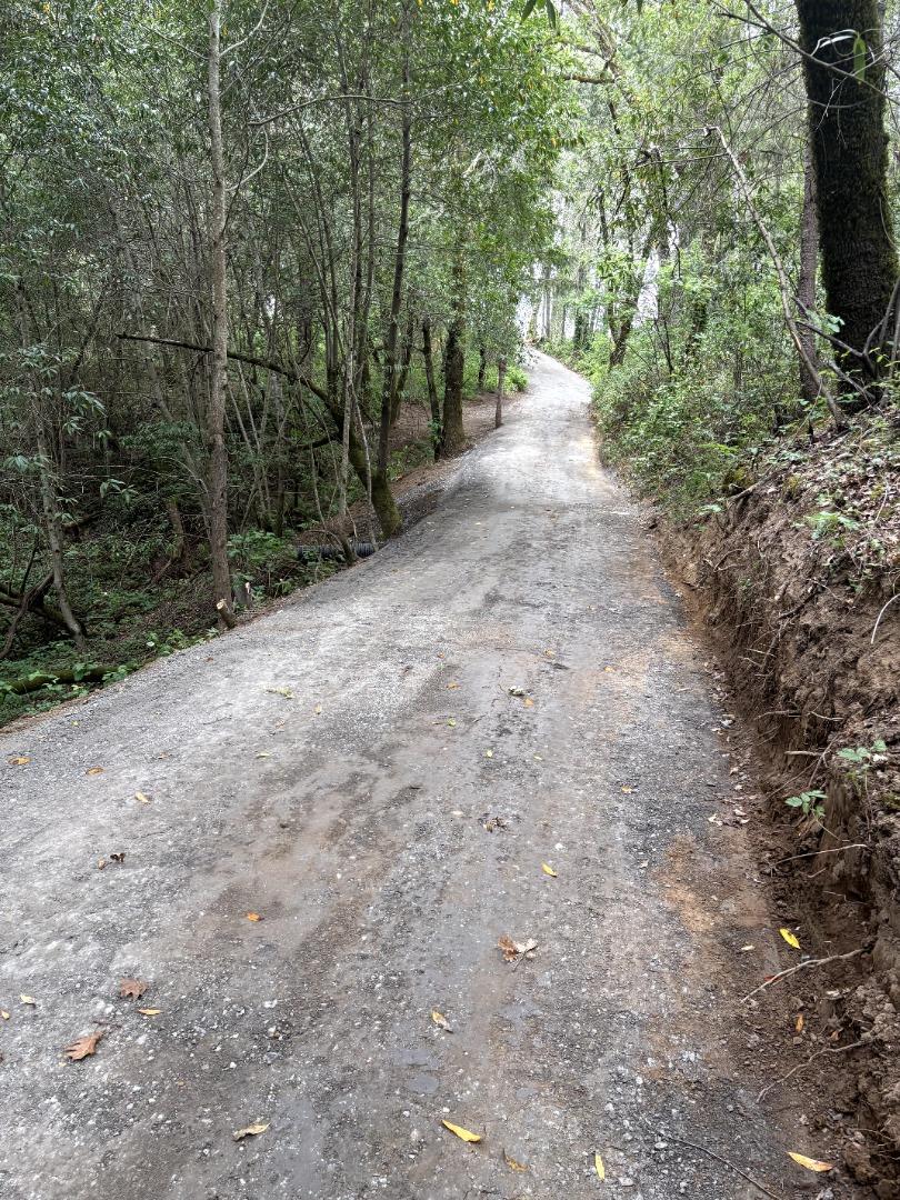11930 Graton Road Sebastopol, CA 95472 - Photo 5 of 16 a view of a forest with trees in front of it