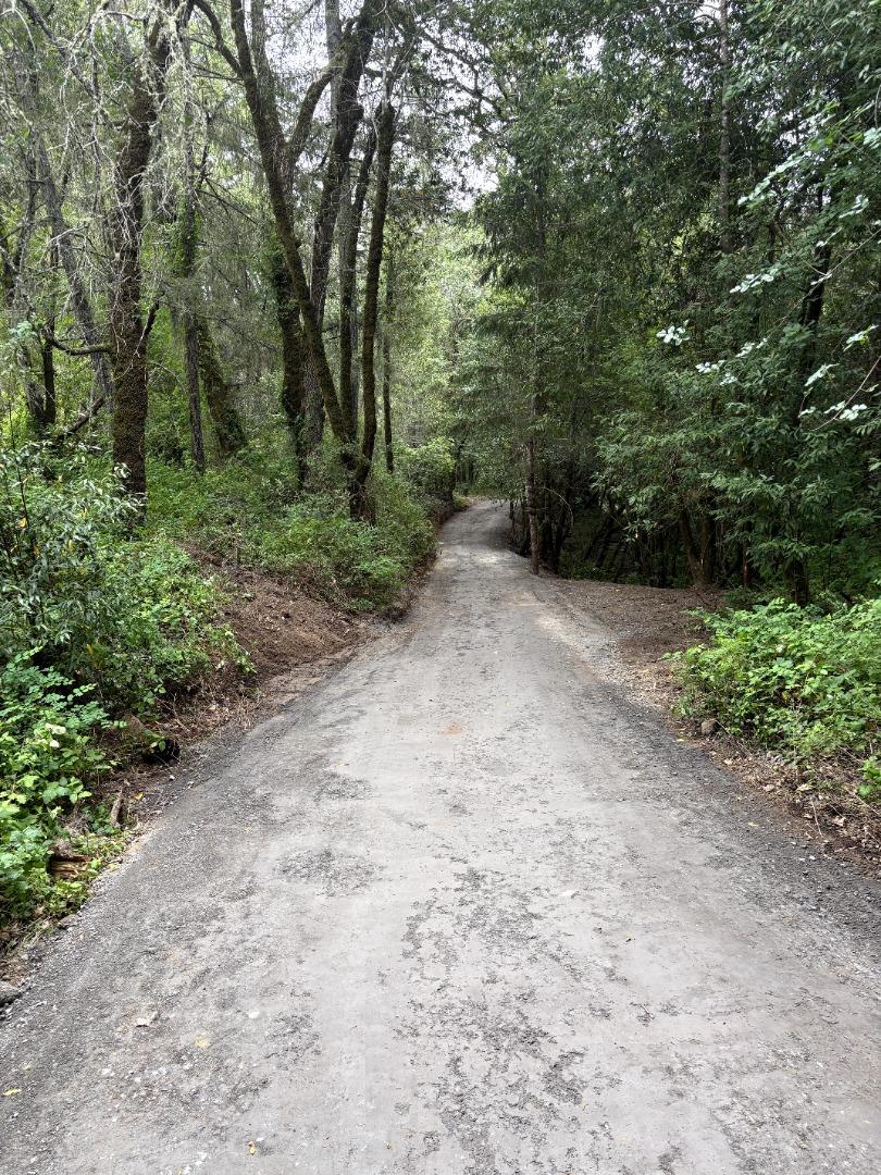 11930 Graton Road Sebastopol, CA 95472 - Photo 7 of 16 a view of a forest with trees in the background