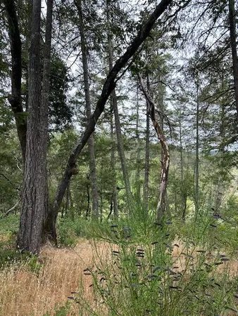 $585,000 | 11930 Graton Road, Sebastopol, CA 95472