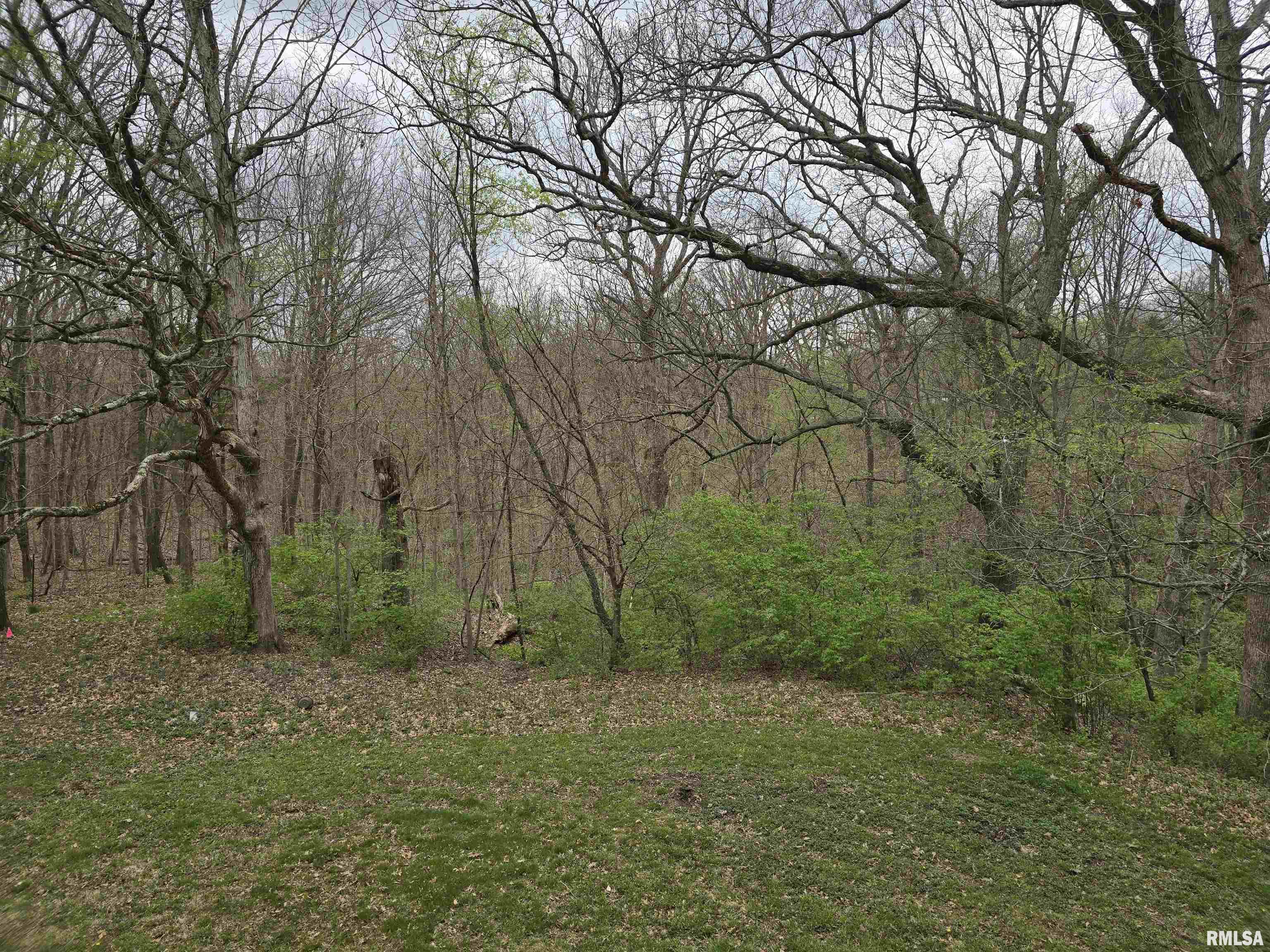 25692 North Martin Road Canton, IL 61520 - Photo 59 of 67